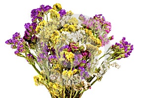 White background bouquet of colorful wildflowers