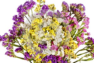 White background bouquet of colorful wildflowers