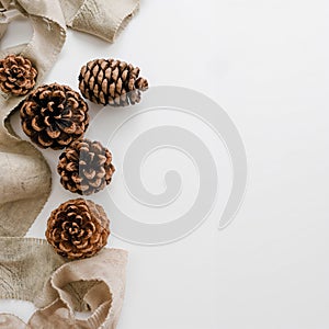 White background with a bunch of pine cones on it