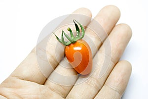 Hand holding fresh cherry tomato