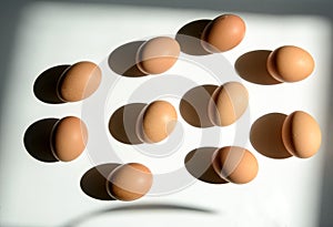 On a white background, eggs cast dark shadows