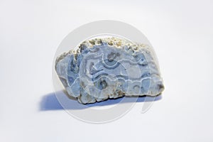 White background, fossil stone