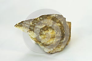 White background, fossil stone