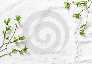 White background with fresh green leaves branches with copy space. Rustic spring frame background composition with free space for