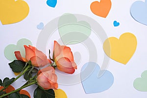On a white background hearts made of paper of different colors and delicate roses
