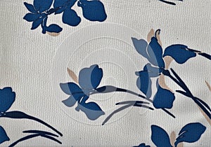 White background illustrated with intense blue irises.