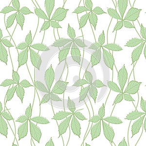 White background with lianes and light green leaves - vector seamless pattern