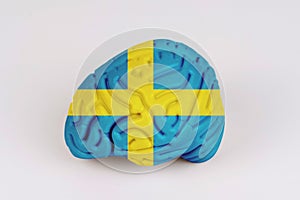 On a white background, a model of the brain with a picture of a flag - Sweden