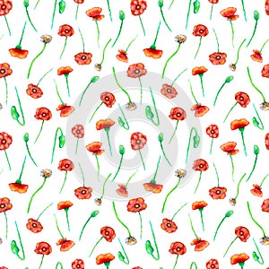 White background with red hand painted poppies