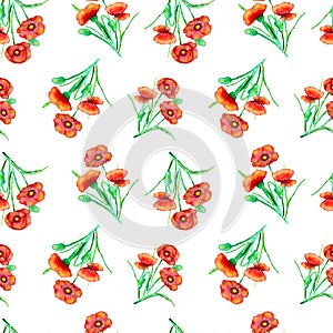 White background with red hand painted poppies