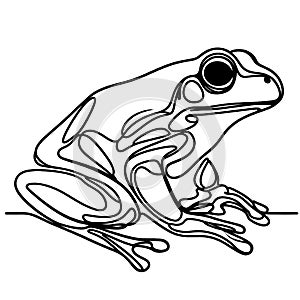 A white background showcases a curious frog with large eyes.
