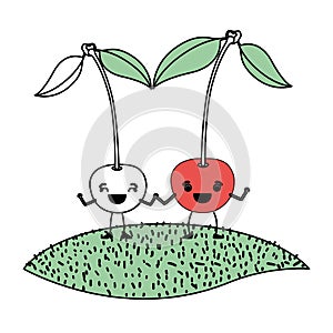 White background with silhouette color sections with pair of cherry fruits caricature over grass