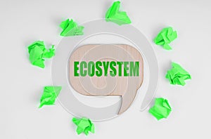 On a white background, there are crumpled green pieces of paper and a wooden sign with the inscription - Ecosystem