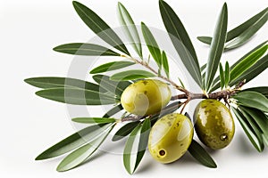 On a white background, there are pickled green olives and an olive branch