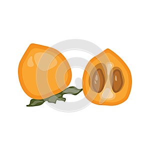 On a white background, a vector illustration of a persimmon. Tropical fruit that is juicy and exotic