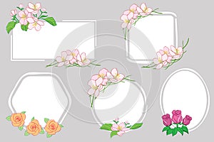 White backgrounds with apple tree flowers and roses - floral vector frames