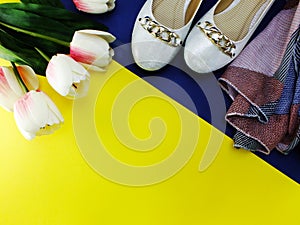 White ballet flat lady shoes on yellow and blue background