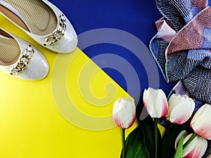 White ballet flat lady shoes on yellow and blue background