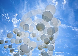 White balloons on the blue sky