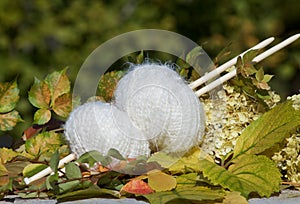 White balls of woll on autumn leaves