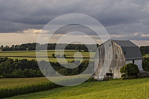 White Barn with corn field