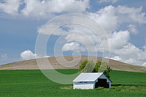 White barn in green farmlands