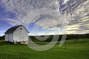 White barn with horses