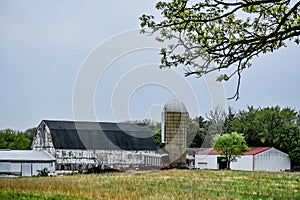 White Barn with Silo and Outbuilding Wisconsin