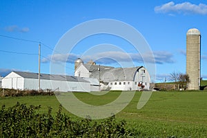 White Barn with Silo in Wisconsin Countryside