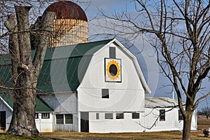 White Barn with Sunflower Quilt