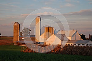 A white barn is surrounded by fertile farmland