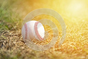 A white baseball on the green grass