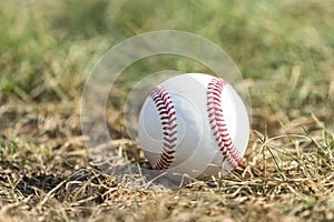 A white baseball on the green grass