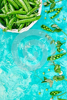 White Basket with fresh green peas on blue background