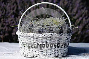 White basket of lavender flowers with selective focus on a blurred background. Copy space