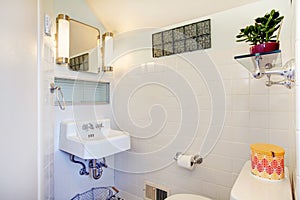 White bathroom decorated with flower pot and rustic hanger