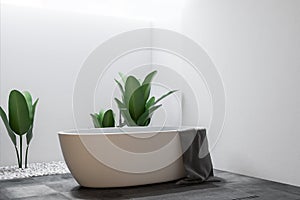 White bathtub in white room conrer, plants, towel