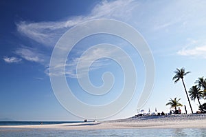 White beach and palm trees