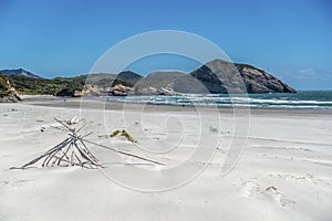 White beach panorama with rocks and dry wood
