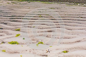 White Beach Sand Fields Meadows Landscape Seascape Nature In Indian Ocean Malindi Kilifi County Kenya East Africa