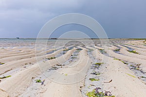 White Beach Sand Fields Meadows Landscape Seascape Nature In Indian Ocean Malindi Kilifi County Kenya East Africa