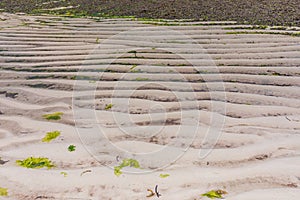 White Beach Sand Fields Meadows Landscape Seascape Nature In Indian Ocean Malindi Kilifi County Kenya East African