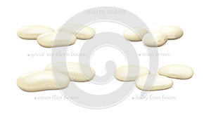 Cannellini, Great Northern, Baby Lima and Navy beans isolated on white background photo