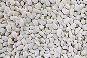 White beans background