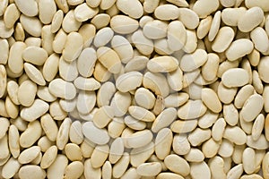 White beans background