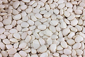 White beans background