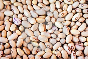 White beans background Phaseolus â€“ food for veggies