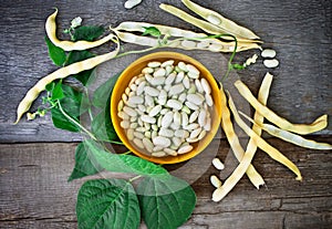 White beans in a bowl on a wooden table.