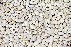 White beans, haricot beans background, top view. Various dried legume beans for background. Wallpaper of white ripe beans. Healthy