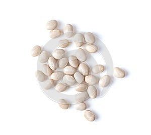 White beans isolated on white background.